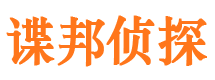 武平市调查公司